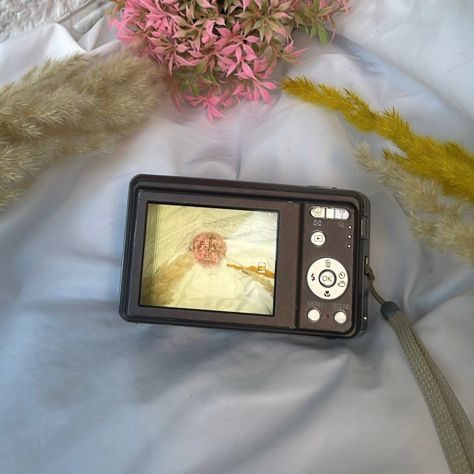 RICOH R50