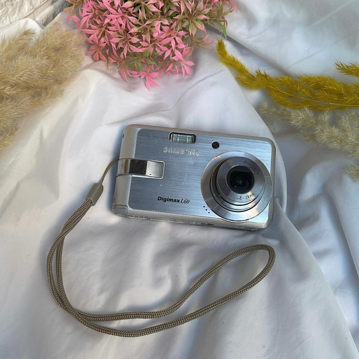 SAMSUNG L60
