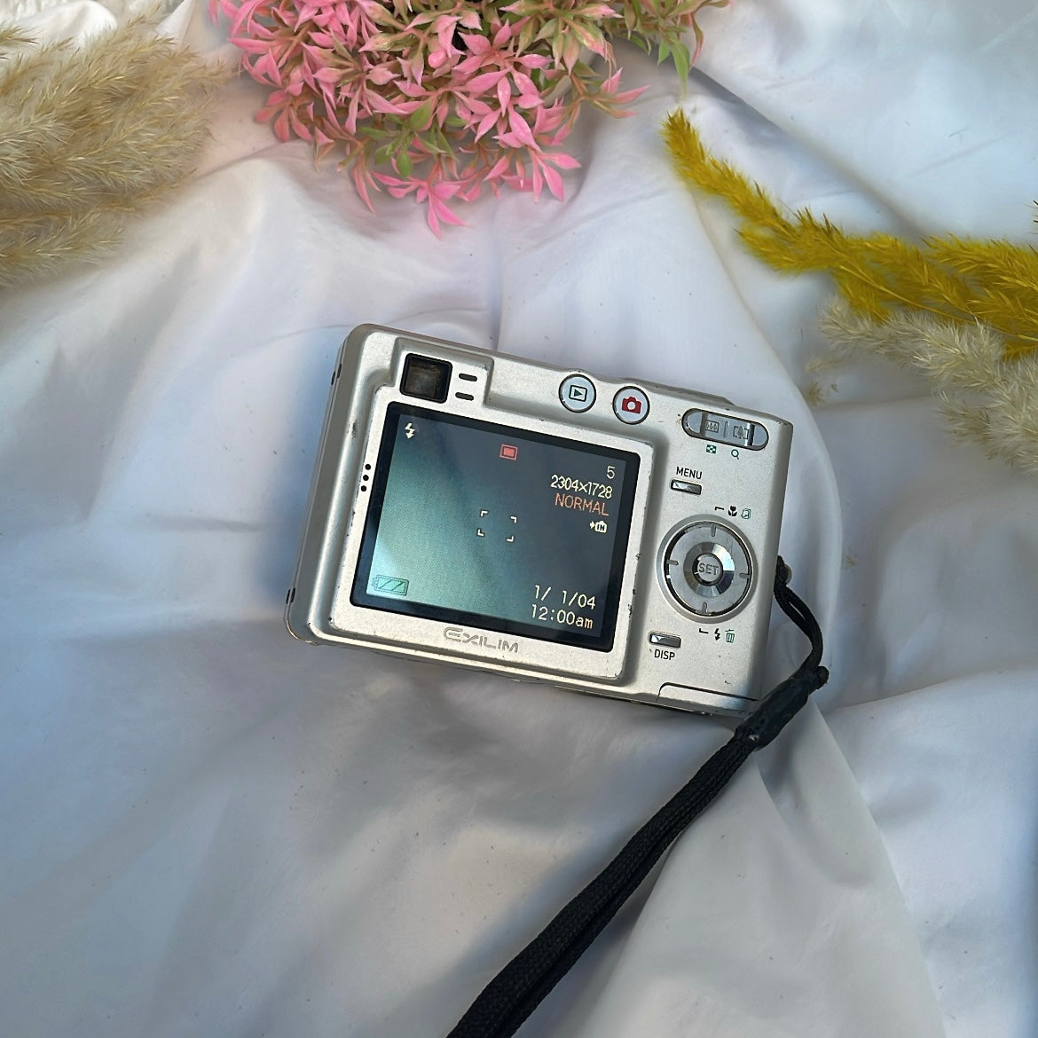 CASIO EX-Z40