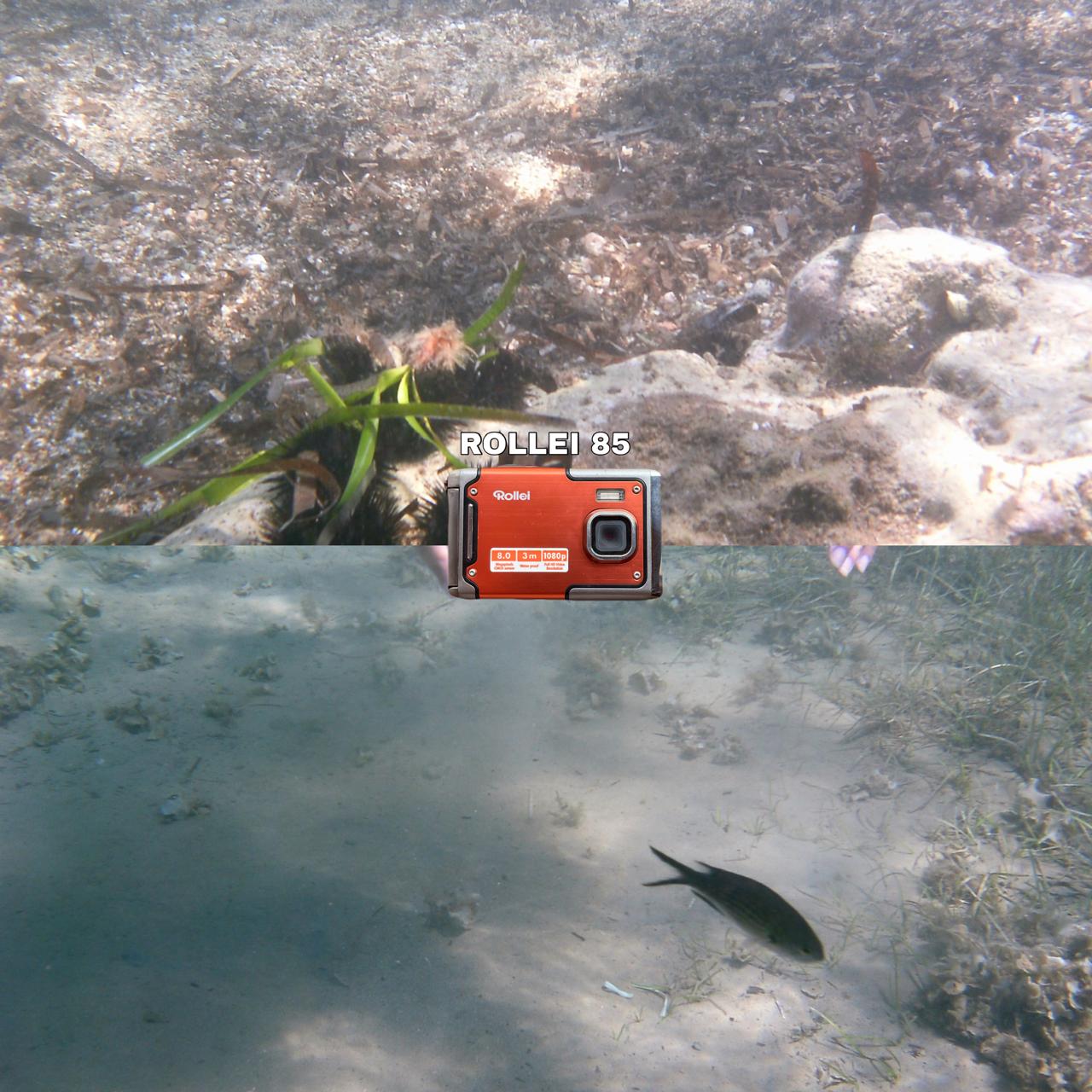 Rollei 85